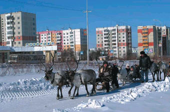 Нерюнгри Фото Города